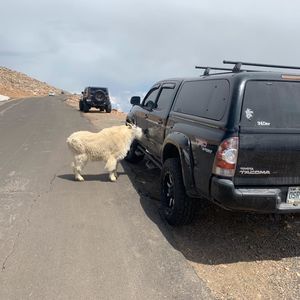 Meet your Posher, Edgar